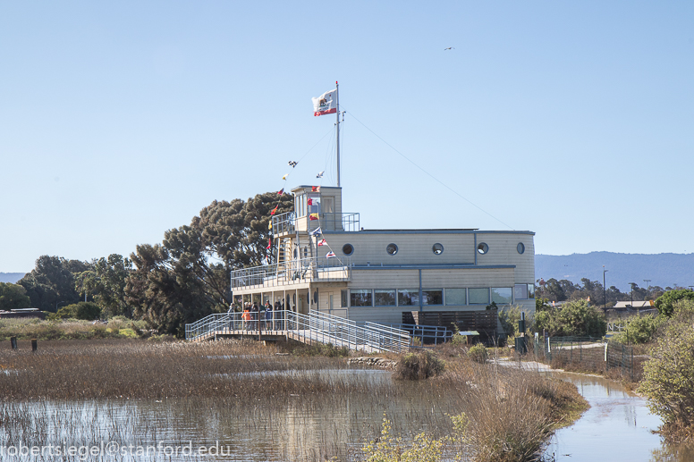 palo alto baylands